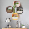 Modern Transparent Wall Vase - Home Living Room Decor - Hanging Basket Flower Pot